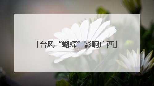 台风“蝴蝶”影响广西