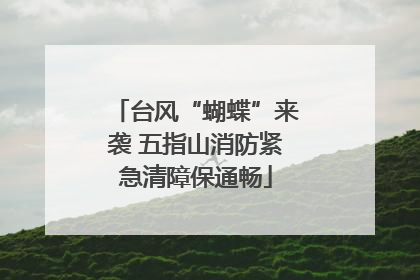 台风“蝴蝶”来袭 五指山消防紧急清障保通畅