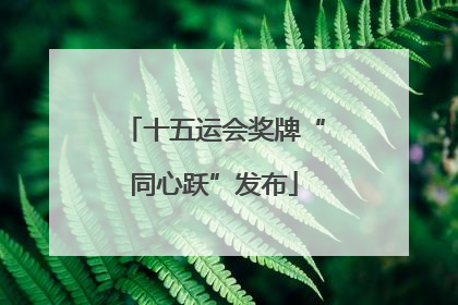 十五运会奖牌“同心跃”发布