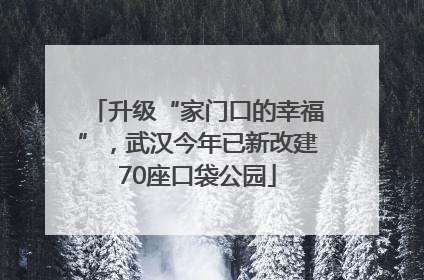 升级“家门口的幸福”，武汉今年已新改建70座口袋公园
