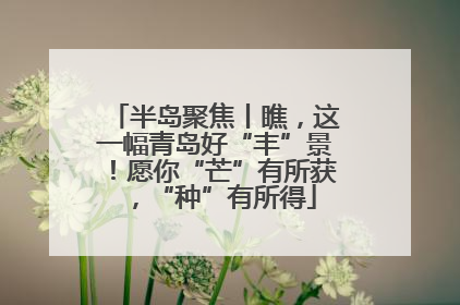 半岛聚焦丨瞧，这一幅青岛好“丰”景！愿你“芒”有所获，“种”有所得