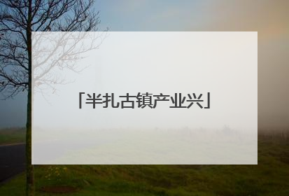 半扎古镇产业兴