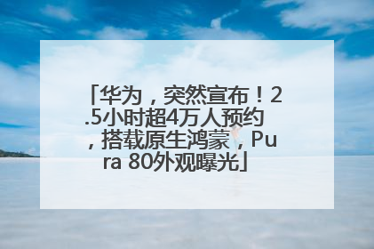 华为，突然宣布！2.5小时超4万人预约，搭载原生鸿蒙，Pura 80外观曝光