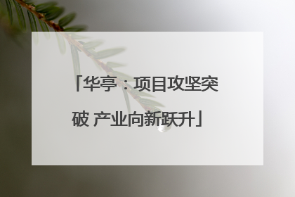 华亭：项目攻坚突破 产业向新跃升
