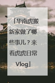 华南虎搬新家做了哪些事儿？来看虎虎日常Vlog