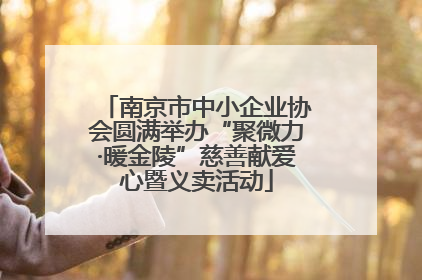 南京市中小企业协会圆满举办“聚微力·暖金陵”慈善献爱心暨义卖活动