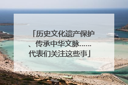 历史文化遗产保护、传承中华文脉……代表们关注这些事