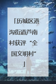历城区港沟街道芦南村获评“全国文明村”