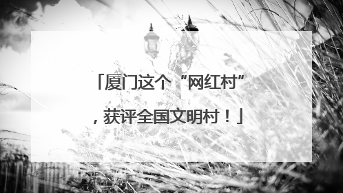 厦门这个“网红村”，获评全国文明村！