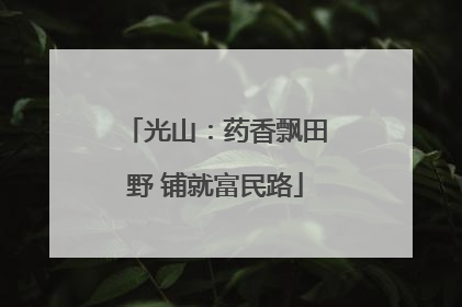 光山：药香飘田野 铺就富民路