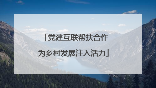 党建互联帮扶合作 为乡村发展注入活力