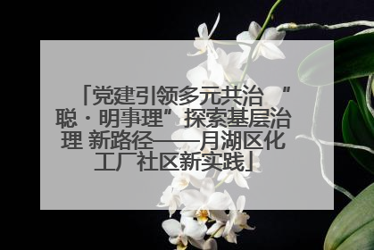 党建引领多元共治 “聪・明事理”探索基层治理 新路径——月湖区化工厂社区新实践
