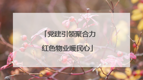 党建引领聚合力 红色物业暖民心