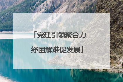 党建引领聚合力 纾困解难促发展