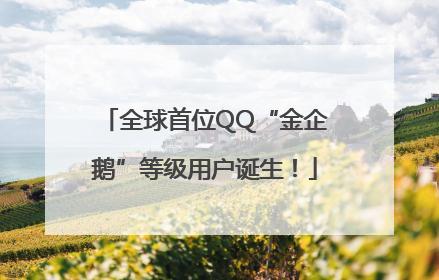 全球首位QQ“金企鹅”等级用户诞生！