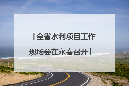 全省水利项目工作现场会在永春召开