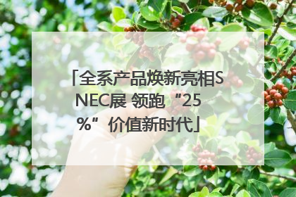 全系产品焕新亮相SNEC展 领跑“25%”价值新时代