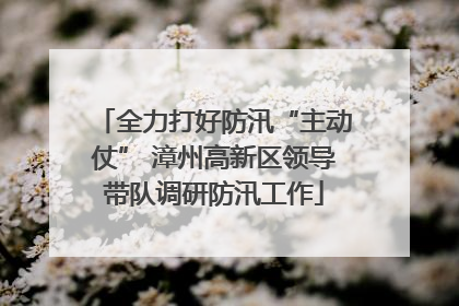 全力打好防汛“主动仗” 漳州高新区领导带队调研防汛工作
