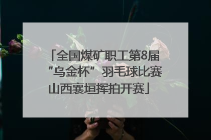 全国煤矿职工第8届“乌金杯”羽毛球比赛山西襄垣挥拍开赛