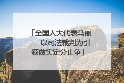 全国人大代表马丽——以司法裁判为引领做实定分止争