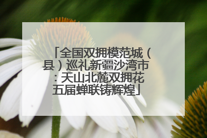 全国双拥模范城（县）巡礼新疆沙湾市：天山北麓双拥花 五届蝉联铸辉煌