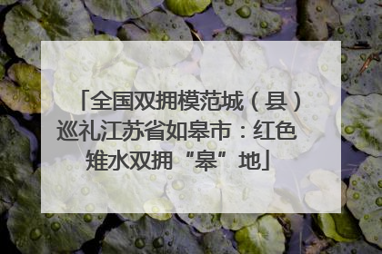 全国双拥模范城（县）巡礼江苏省如皋市：红色雉水双拥“皋”地