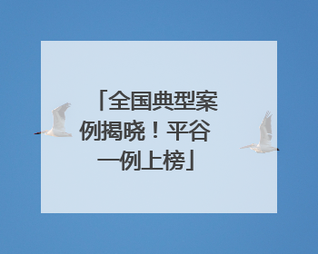 全国典型案例揭晓！平谷一例上榜