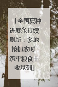 全国夏种进度条持续刷新：多地抢抓农时 筑牢粮食丰收基础