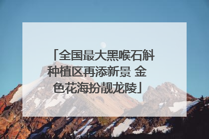 全国最大黑喉石斛种植区再添新景 金色花海扮靓龙陵