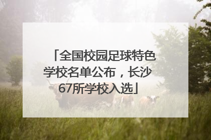 全国校园足球特色学校名单公布，长沙67所学校入选