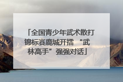 全国青少年武术散打锦标赛鹿城开擂 “武林高手”强强对话