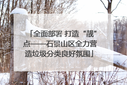 全面部署 打造“靓” 点——石景山区全力营造垃圾分类良好氛围