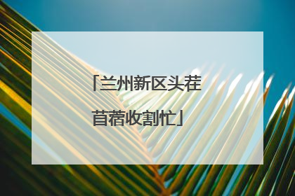 兰州新区头茬苜蓿收割忙