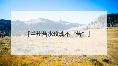 兰州苦水玫瑰不“苦”