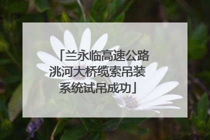 兰永临高速公路洮河大桥缆索吊装系统试吊成功