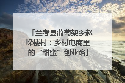 兰考县葡萄架乡赵垛楼村：乡村电商里的“甜蜜”创业路