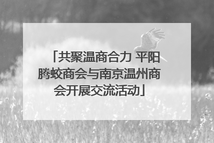 共聚温商合力 平阳腾蛟商会与南京温州商会开展交流活动