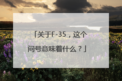 关于F-35，这个问号意味着什么？