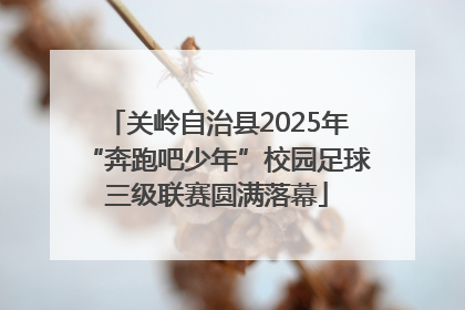 关岭自治县2025年“奔跑吧少年”校园足球三级联赛圆满落幕