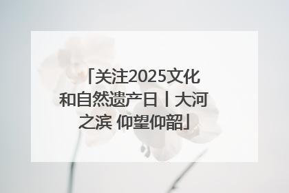 关注2025文化和自然遗产日丨大河之滨 仰望仰韶