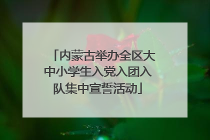 内蒙古举办全区大中小学生入党入团入队集中宣誓活动