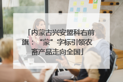 内蒙古兴安盟科右前旗：“蒙”字标引领农畜产品走向全国