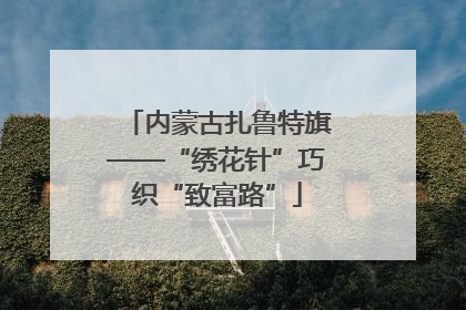 内蒙古扎鲁特旗——“绣花针”巧织“致富路”