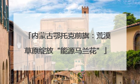 内蒙古鄂托克前旗：荒漠草原绽放“能源马兰花”