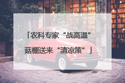 农科专家“战高温” 菇棚送来“清凉策”