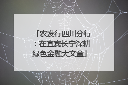 农发行四川分行：在宜宾长宁深耕绿色金融大文章