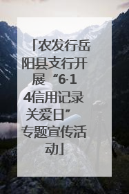 农发行岳阳县支行开展“6·14信用记录关爱日” 专题宣传活动