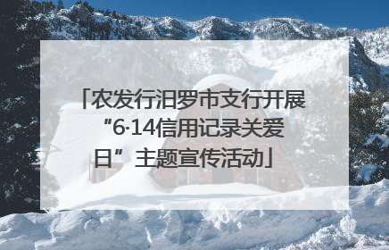 农发行汨罗市支行开展“6·14信用记录关爱日”主题宣传活动