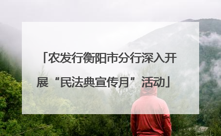 农发行衡阳市分行深入开展“民法典宣传月”活动