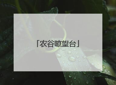 农谷瞭望台